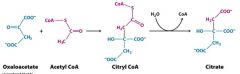 CITRATE SYNTHASE catalyzes the CONDENSATION of Oxaloacetate (4C) and acteyl CoA
Oxaloacetate+citrate synthase -> citryl CoA with proper active site -> citrate and CoA