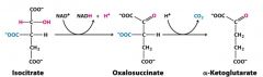 ***ISOCITRATE DEHYDROGENASE*** catalyzes the OXIDATIVE DECARBOXYLATION of isocitrate, forming alpha-ketoglutarate and capturing the high-energy electrons as NADH