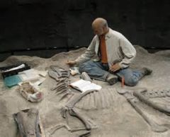 paleontologist