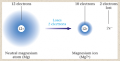 7.	Ions

•	_____ can form ions by gaining or losing electrons.
	Metals tend to lose one or more electrons to form positive ions called _______.
	_______ are generally named by using the name of the parent atom.