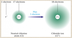 8.	Ions

•	_________ tend to gain one or more electrons to form negative ions called ______.
•	Anions are named by using the root of the atom name followed by the suffix –ide.