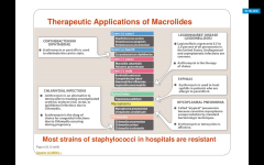 What is the spectrum of activity for macrolides?

(erythromycin, clarithromycin, azithromycin)