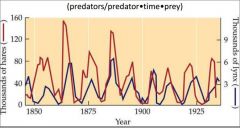 aeR = numerical response
a = efficiency with which food converted to population growth
e = efficiency of predation 

ae = conversion efficiency 

(predator/predtor x time x prey)
