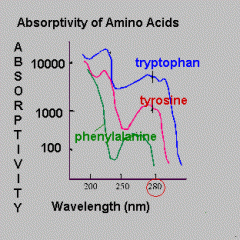 Which absorbs more light at 280 nm wavelength? Put them in order from highest absorbance to lowest.