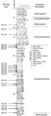 Marine isotope stage 7

Geologische Abfolge der Forschungsbohrung Meikirch 1981 mit OSL Altern und Hauptpollenzonen