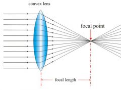 It is convex, which causes the parallel ray of light to move together at the principal focus.