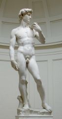 Was mainly a sculptor
Known for:
Muscular figures
Twisting