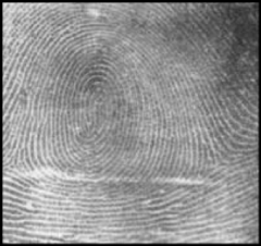 all whorl patterns have type lines and a minimum of two deltas.