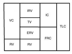 after exercise


- TV increases
- IRV, ERV both decrease
- RV remains same (never changes)

- IC increases, FRC decreases
