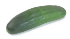 Cucumber
(American)