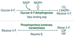 1. Oxidative (irreversible)
Glucose-6P → Ribulose-5P + CO2 + 2 NADPH
by Glucose-6P dehydrogenase

2. Non-Oxidative (reversible)
Ribulose-5P → Ribose-5P + G3P + F6P
by Phosphopentose isomerase and transketolases