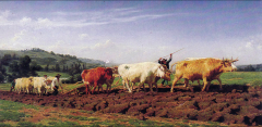rosa Bonheur,Plowing in the Nivernais, 1849. Oil on canvas, 5 ft. 9 in. * 8 ft. 8 in. Musée
d Orsay, Paris.