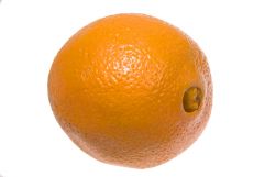 Small Navel Oranges