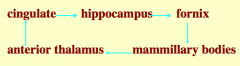 Cingulate --> Hippocampus --> Fornix --> Mamillary Bodies --> Anterior Thalamus --> Cingulate