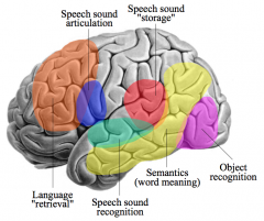 Blue - Speech Sound Articulation