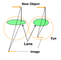 Lens thickens - increased optical power (see better nearby)