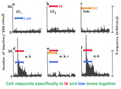 - Cells in the auditory cortex can be selectively responsive to complex features of sounds
- Some cells select for speech components (initial formant and a sustained tone)
- Some cells respond to certain combinations of tones (shown in image)