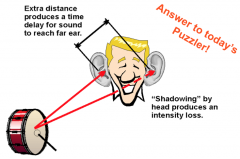 - Extra distance produces a time delay for sound to reach far ear (binaural time)
- Shadowing by head produces an intensity loss (intensity)