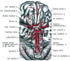 Components of Circle of Willis:
- Anterior Cerebral A.
- Middle Cerebral A.
- Posterior Cerebral A.
- Anterior Communicating A.
- Posterior Communicating A.