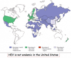 - May be Hepatitis E Virus (HEV) infection (endemic and waterborne = purple)
- Mexico, Asia, parts of Africa