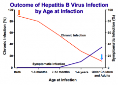 - Infants tend to have chronic infections more commonly than symptomatic infections
- Older children and adults tend to have more symptomatic infections