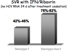 - Genotype 1 (73%)
- Only 42-46% of patients with Genotype 1 had no HCV RNA 24 days after treatment (Sustained Virological Response w/ IFN/Ribavrin) cessation as opposed to 76-82% of non-Genotype 1 patients