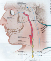 Hypothalamus (posterior region) --> descend in Descending Hypothalamic Fibers (DHF) - lateral part of brainstem