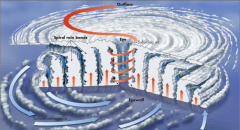 Includes Rain Bands, Eyewall, and Eye
*see other notecard for descriptions

Warm, moist air spirals upward along EYEWALL (loses moisture as it rises) which causes dry air to sink back into center and air to flow out of the top (pic)