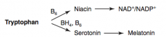 Tryptophan (BH4, B6) → Serotonin