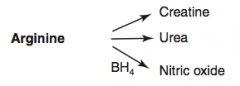 Arginine (BH4) → Nitric Oxide