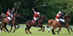A game played by two teams on horseback; players use a mallet to hit a ball into the opposing team' s net.