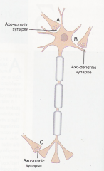 To another neuron
*Axon to dendrite
*Axon to soma
*axon to axon

To muscle

To gland