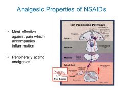 What causes PAIN after injury? what should drugs target to reduce pain (analgesic)?