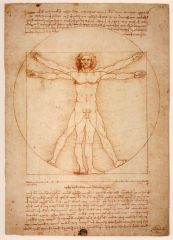 The science of the structure of the human body