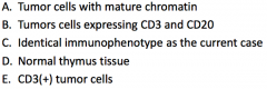 CD3(+) tumor cells (because it is a T cell neoplasm)