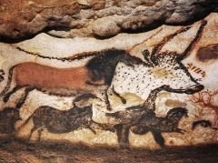 Formal Analysis: Great Hall of Bulls, Lascaux, France / Paleolithic Europe, 15,000-13,000 BCE, cave walls and natural paint, #2 
 
Content: This portion of the cave paintings include a variety of animals. There is a bull and what looks like a hors...