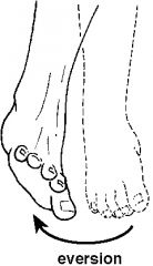 when the sole is turned outward or away from the median plane of the body