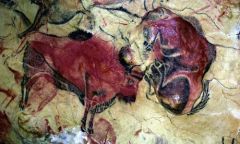 The Cave Paintings at Altamira
Altamira, Spain
12,000 B.C.E.
Paleolithic, Animism
_______________________Content: These paintings are almost all depictions of bulls, painted on the ceiling of a cave with, again, natural materials but with a starke...