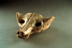 #3
Camelid Sacrum in the shape of a canine
Tequixquiac, Mexico
14,000-1,000 B.C.E.
Animism
_______________________
Content: This used to be the sacrum bone of an animal, now extinct, that was related to modern day camels. It was carved to look lik...