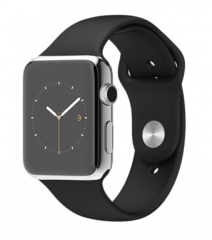 42mm Stainless Steel Case with Black Sport Band