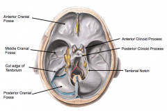 Also called the tentorial incisura, it is the opening between the right and left leaves of the tentorium cerebelli. The hindbrain passes through it. With increased ICP, structures may herniate through it, e.g. uncal herniation.