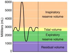 1. Residual volume - volume of air never expelled from the lungs
2. Expiratory reserve volume - amount of air which can be forcibly expired
3. Tidal volume - the volume of air inspired / expired in a normal breath
4. Inspiratory reserve volume - a...