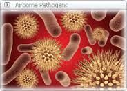 Pathogens- organisms that cause illness, or disease.