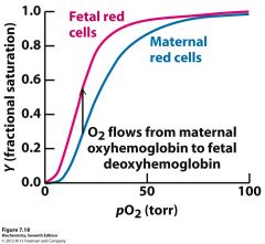Fetal hemoglobin has a higher affinity for oxygen. This allows adequate oxygen content from simple oxygen diffusion from the maternal to fetal blood in the placenta.