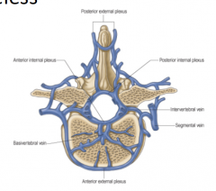 (1) Basovertebral vein: drainsbodies of vertebrae anddrains into VENOUS plexus 


(2) Vertebral Venous System:valveless, runs from pelvis tocranium 
• Anterior INTERNAL/EXTERNAL 
• Posterior INTERNAL/EXTERNAL