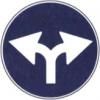 Il segnale raffigurato indica la facoltà di passare a destra o a sinistra di un'isola spartitraffico