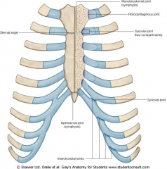 Costovertebral (head of rib joints), synovial
 
Costochondral (rib -> CC), not synovial
 
Interchondral (7,8,9th CC, costal margin, synovial)
 
Sternocostal (1st is fibrocartilaginous, 2-7 synovial)