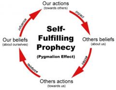 A prediction that directly or indirectly causes itself to become true, by the very terms of the prophecy itself, due to positive feedback between belief and behavior.