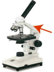 Used in order to carry the microscope