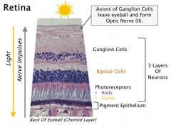 from front to back of eyeball: Ganglion cells to bipolar cells to photoreceptors. Pigment epithelium is behind. 
